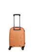 Obrázek z IMPACKT IP1 S Garden apricot 38 L 